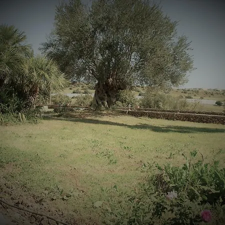 Bed & Breakfast Al Palmento Cruillas