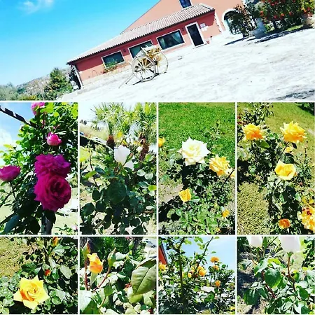 Al Palmento Cruillas Bed & Breakfast 2*