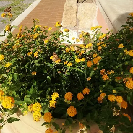 Al Palmento Cruillas Bed & Breakfast Syracuse